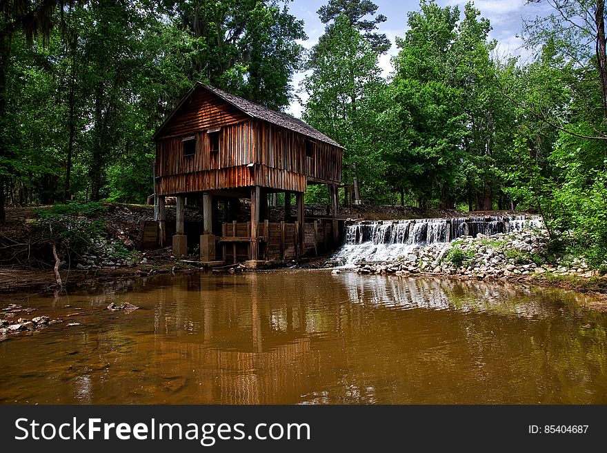 Landscape Photography of Brown Wooden House on Forest Near River