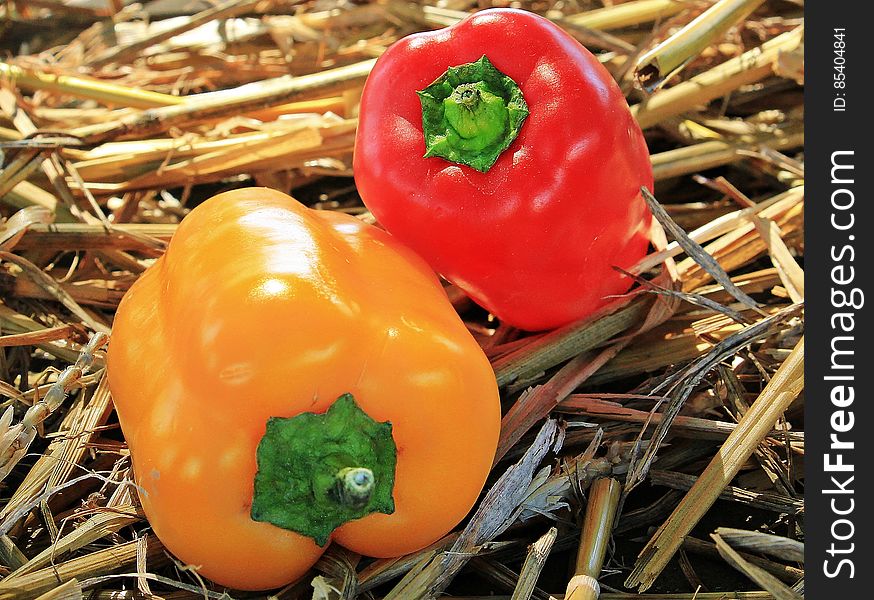 Close up of red and yellow sweet bell peppers on straw in sunlight.