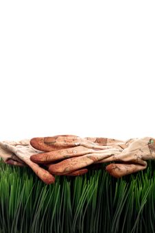 Old Worn Workgloves On Green Grass Stock Photography Old Worn Workgloves On Green Grass Stock Photography