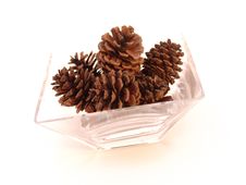 Pine Cones In Glass Dish Royalty Free Stock Image Pine Cones In Glass Dish Royalty Free Stock Image