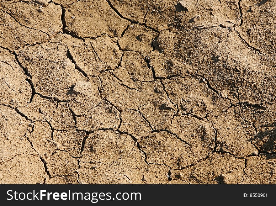 Cracks on a surface - the soil erosion