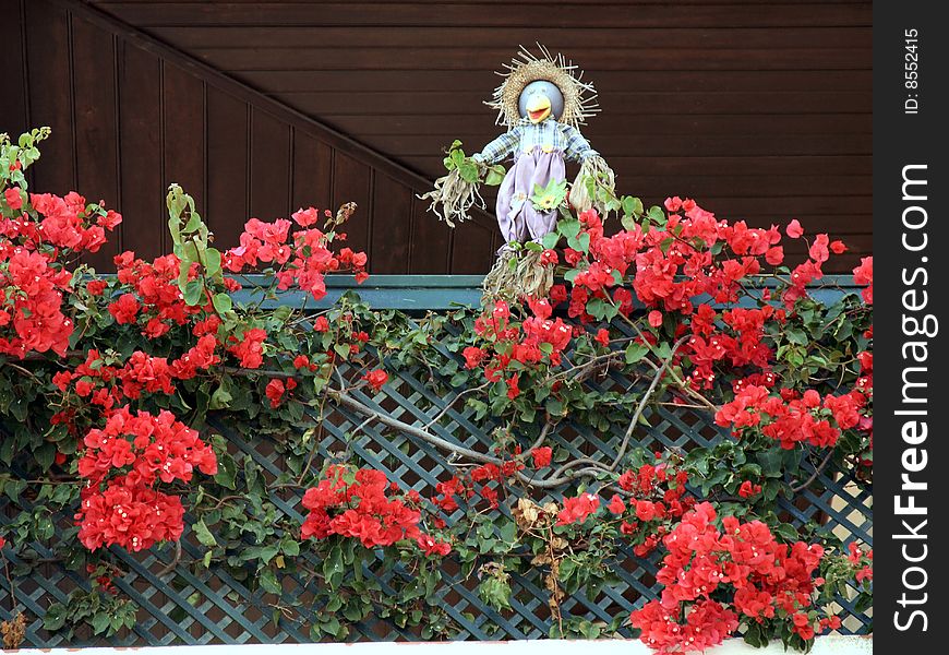 Crow doll on the balcony with flowers. Crow doll on the balcony with flowers