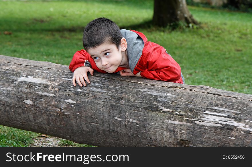 Boy with sly expression leans on log