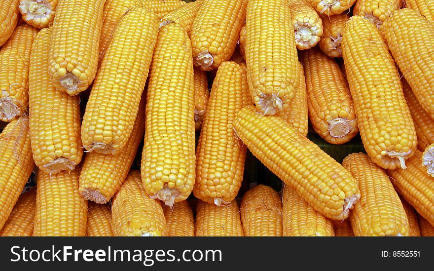 Heap of ears of corn