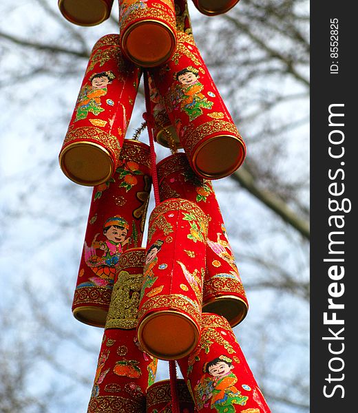 Close up of Chinese lanterns hanging from a tree