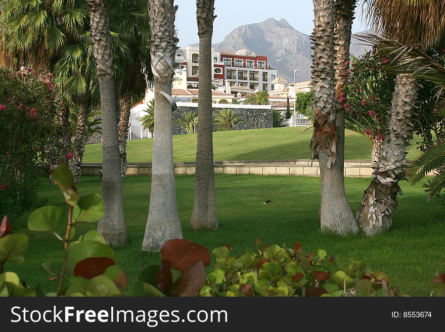 Vacation hotel on Tenerife, Canary island