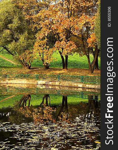 An autumn view of trees reflecting in water. An autumn view of trees reflecting in water