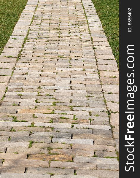 Garden stone path with grass. Garden stone path with grass