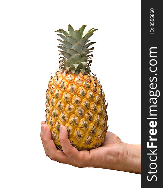 Presenting ripe pineapple