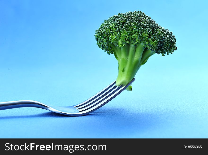 Close up of broccoli in fork on blue background