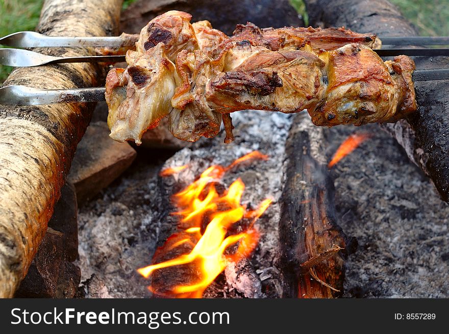 Appetizing Roasted Meat - Shish Kebab.