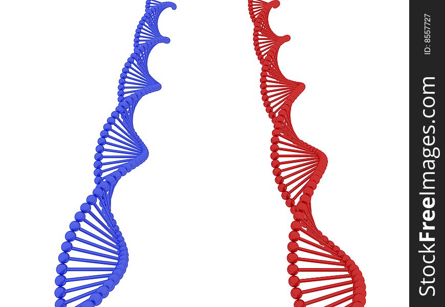 3d render of DNA on white background. 3d render of DNA on white background