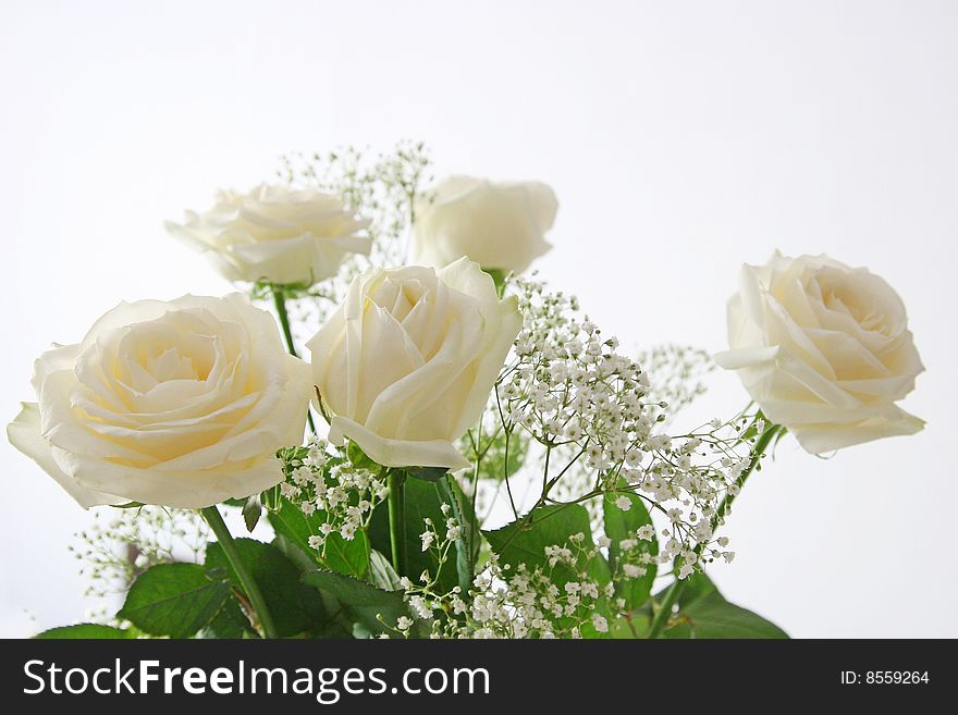 Bouquet from white roses on a light background
