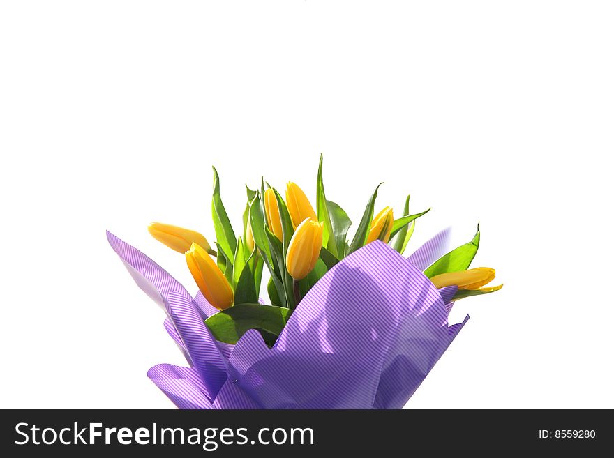 Bouquet from beautiful and bright gentle tulips. Bouquet from beautiful and bright gentle tulips
