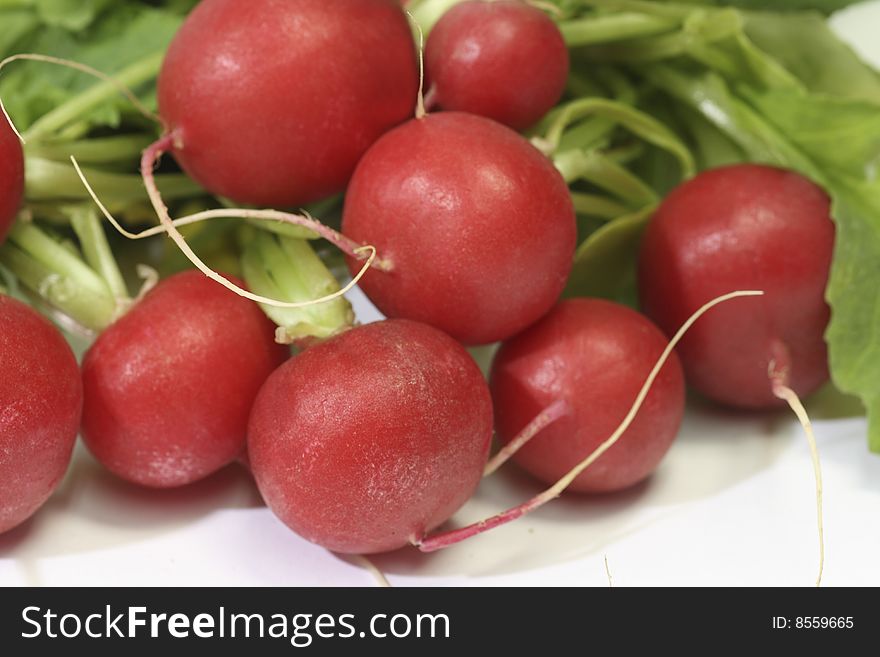 Bunch of fresh radish with leaves over white backgroud