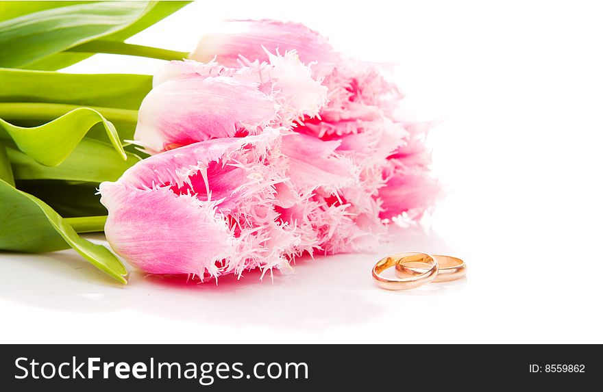 Pink tulips and golden rings, isolated. Pink tulips and golden rings, isolated