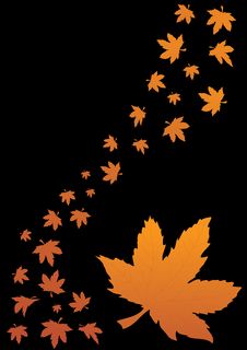 Maple Leaves :: Nature :: Anna Gorin Photography, Boise, Idaho