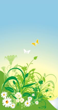 Spring Composition For Card Stock Photos Spring Composition For Card Stock Photos
