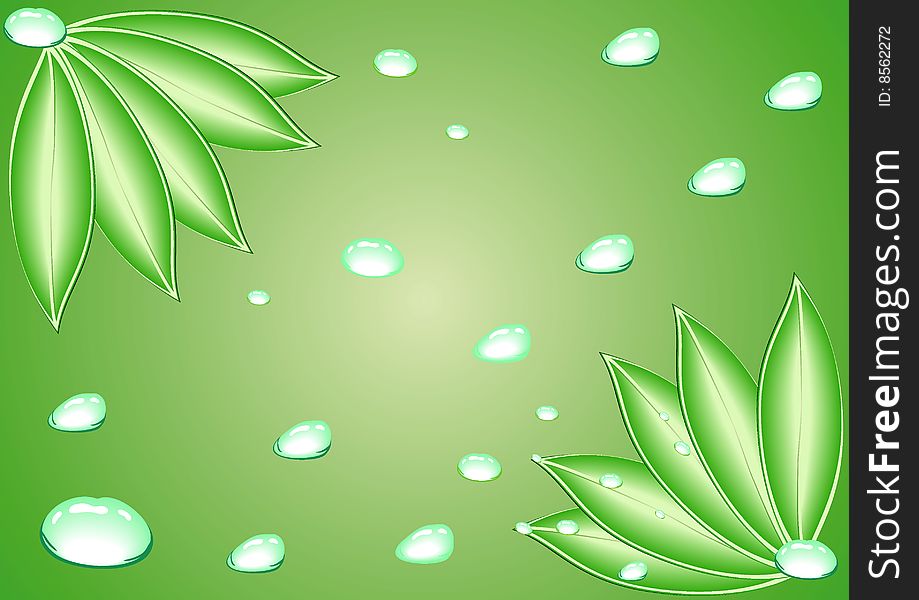 Leaves With Water Drops. Vector.