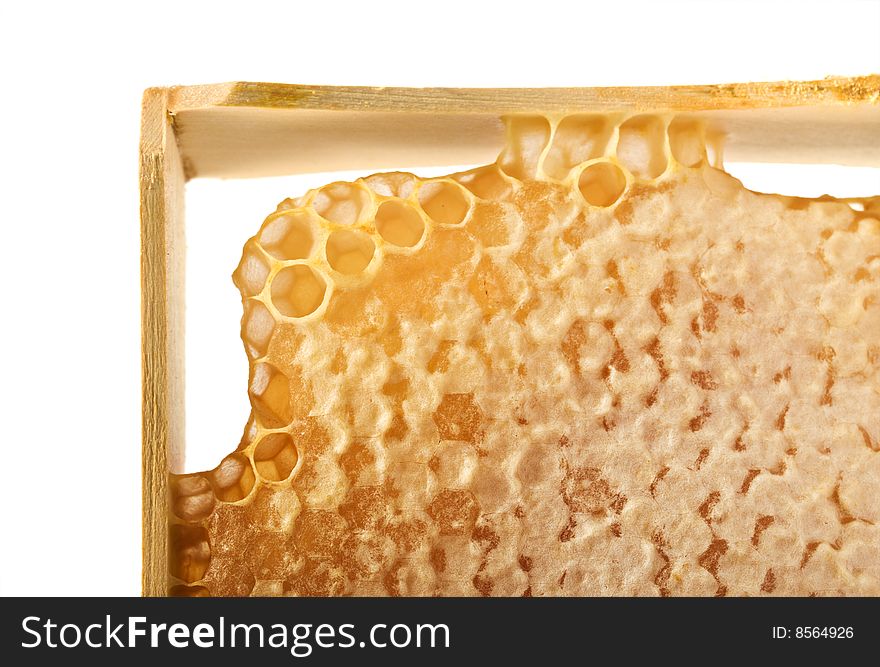 Honeycomb and frame close-up