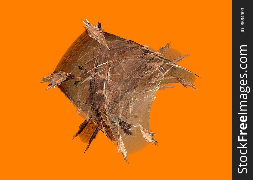 Fractal illustration of feathers and membranes on orange background