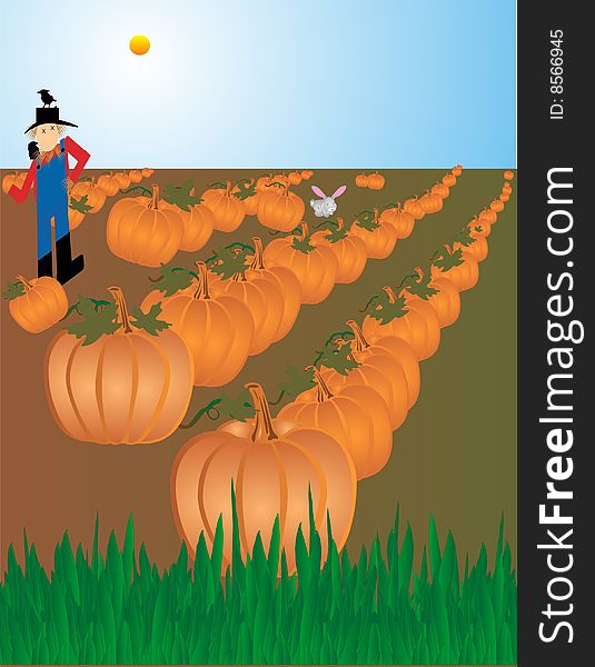 An illustration of a scarecrow guarding the field full of pumpkins, ready to be picked for Halloween and Thanksgiving...  scare the crows away, but they love him as a perch. An illustration of a scarecrow guarding the field full of pumpkins, ready to be picked for Halloween and Thanksgiving...  scare the crows away, but they love him as a perch..