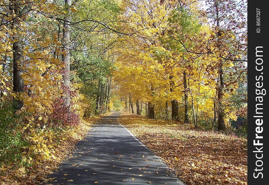 Autumn way behind karst solar of the day