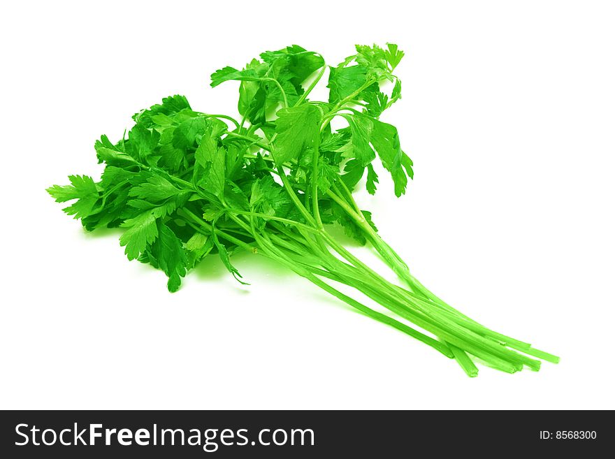 Bunch of parsley isolated on white. Bunch of parsley isolated on white.