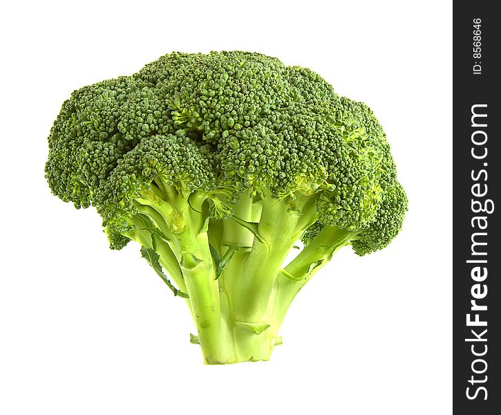 A floret of broccoli isolated on a white background