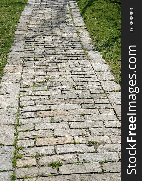 Garden stone path with grass. Garden stone path with grass