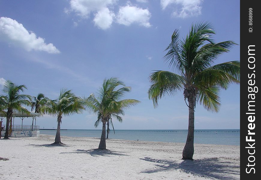 Island scene on Key West beaches. Island scene on Key West beaches.