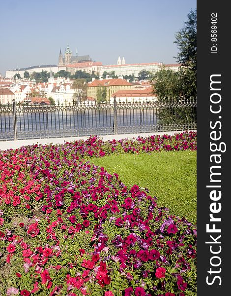Cathedral on a hill with a river and flowers in the foreground. Cathedral on a hill with a river and flowers in the foreground