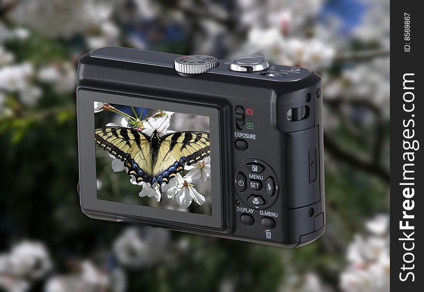 Point & Shoot Camera with butterfly