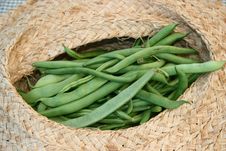 String Beans In A Basket Stock Images String Beans In A Basket Stock Images