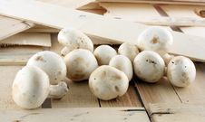 Fresh Mushrooms Royalty Free Stock Images Fresh Mushrooms Royalty Free Stock Images