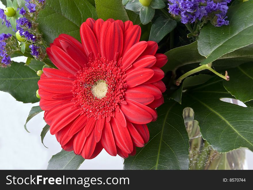 Mixed flowers bouquet,close up.