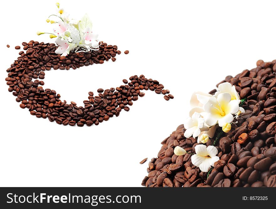 Coffee Seed with Sugar Flower Isolated on White Background