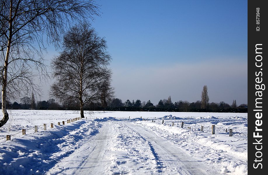 A snowy field on a brilliant sunny day. A snowy field on a brilliant sunny day