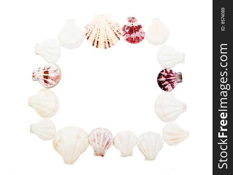 Square frame made of sea shells isolated on white background. Square frame made of sea shells isolated on white background