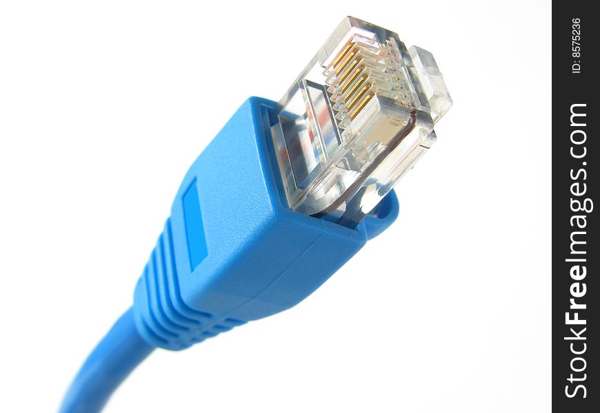 Connector from blue network cable. Connector from blue network cable