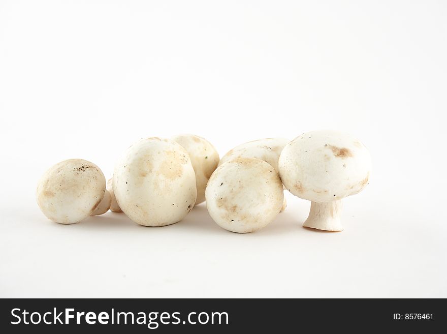 A composition of a collection of mushrooms on a bright white background. A composition of a collection of mushrooms on a bright white background