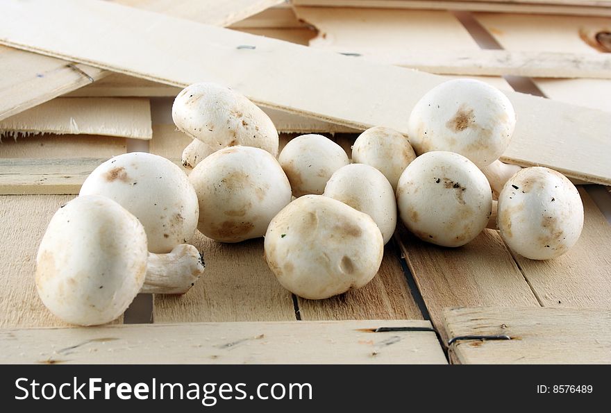 A collection of fresh mushrooms presented on a wooden background