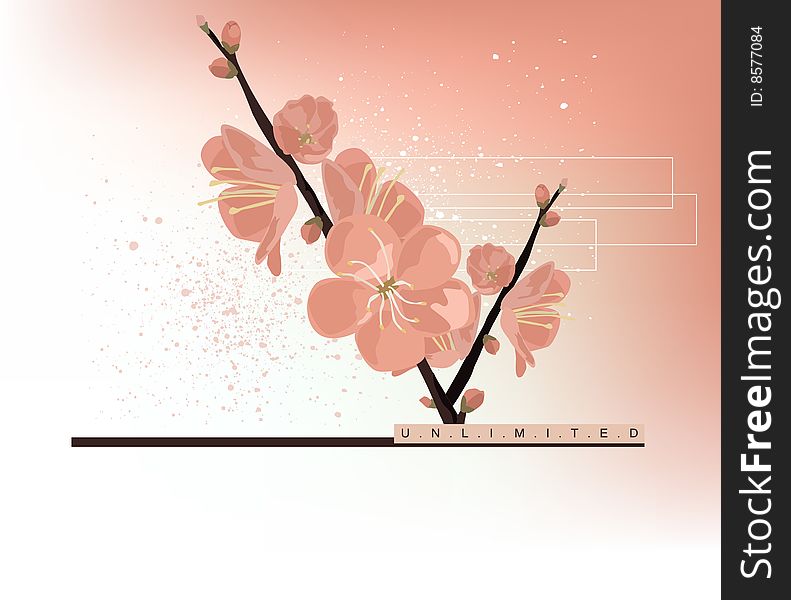 Spring Flower Background