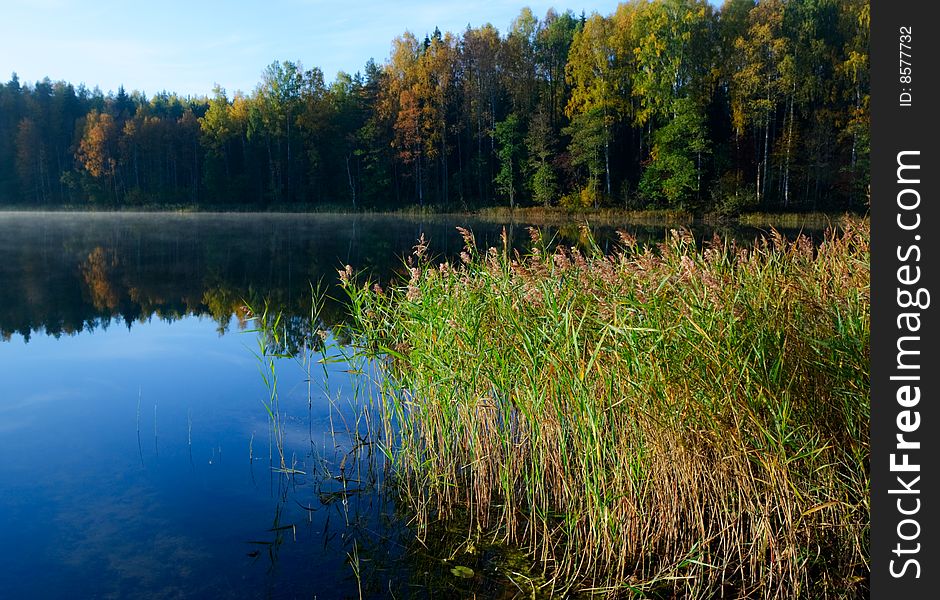 Autumn morning at remote forest lake