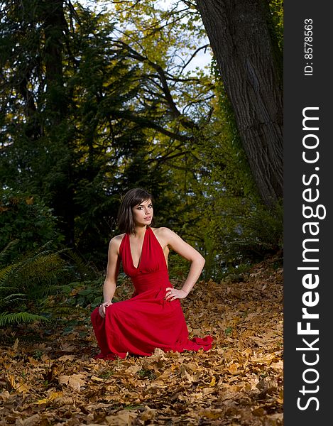 Red Dress In The Forest