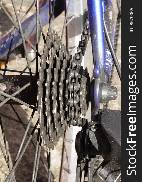 Close up of the rear gear cogs on a mountain bike. Close up of the rear gear cogs on a mountain bike