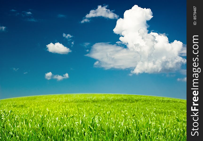 Background of cloudy sky and grass. Background of cloudy sky and grass