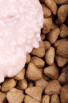 Cat Food Stock Photos Cat Food Stock Photos