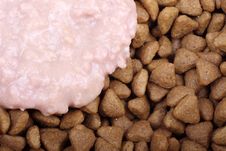 Cat S Food Royalty Free Stock Photo Cat S Food Royalty Free Stock Photo