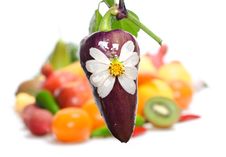Vegetables & Fruits Isolated Royalty Free Stock Photos Vegetables & Fruits Isolated Royalty Free Stock Photos